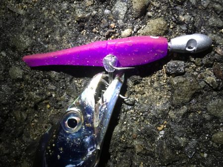 深夜の太刀魚釣り